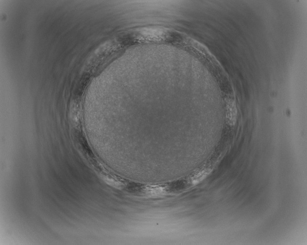 X0000080170701200612221251