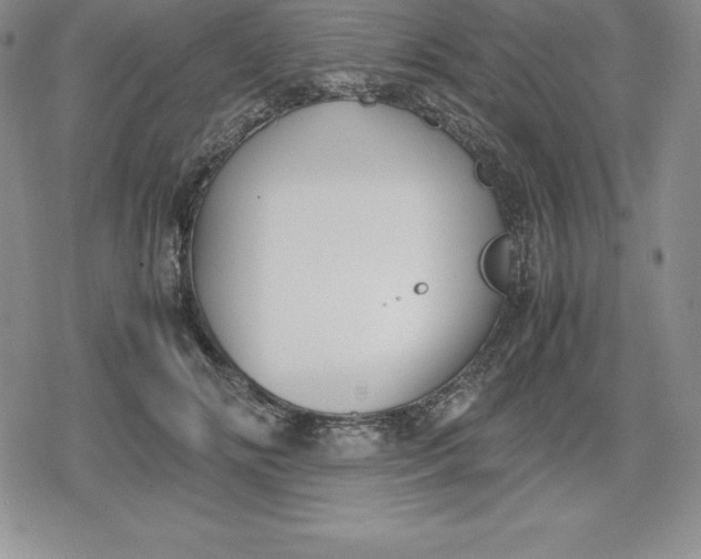 X0000080170702200612221251