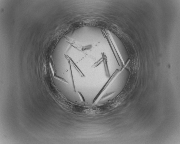 X0000080170703200612221251