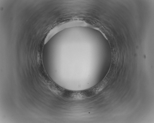 X0000080170704200612221251