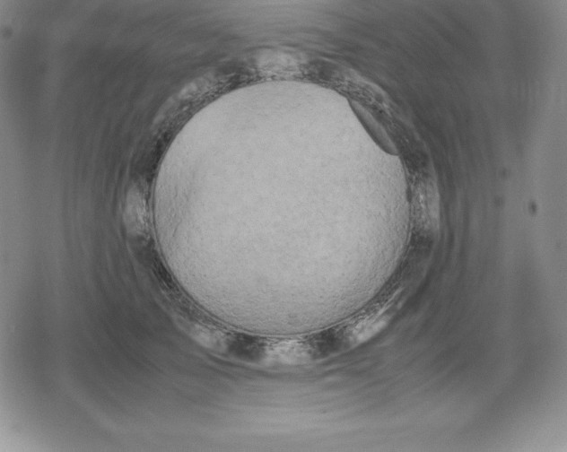 X0000080170705200612221251