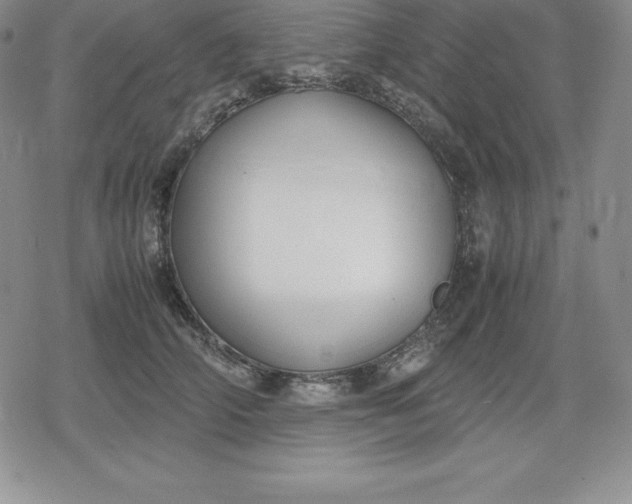 X0000080170706200612221251