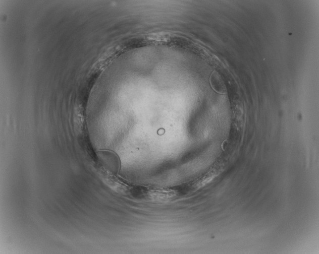 X0000080170707200612221251