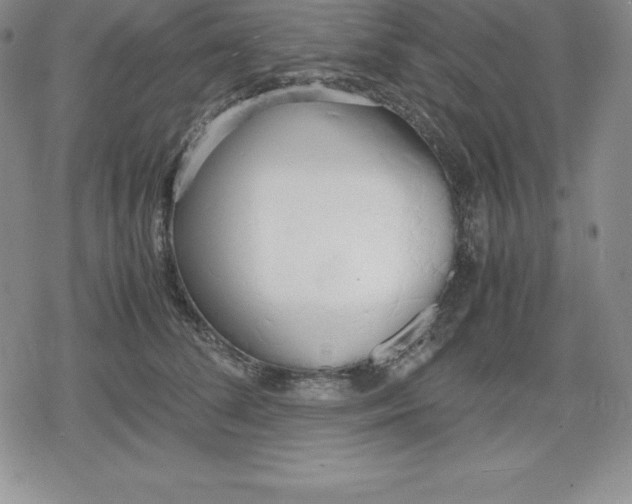 X0000080170708200612221251