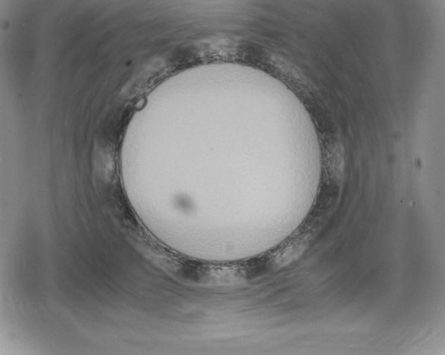 X0000080170709200612221251