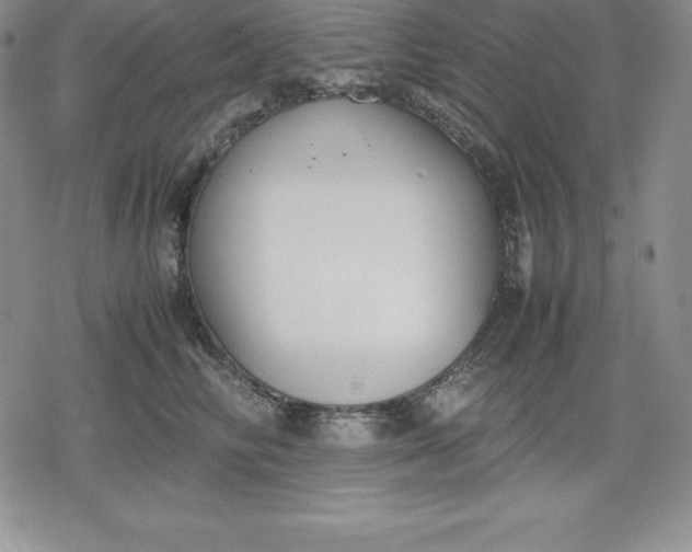 X0000080170710200612221251