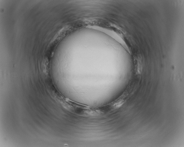 X0000080170712200612221251