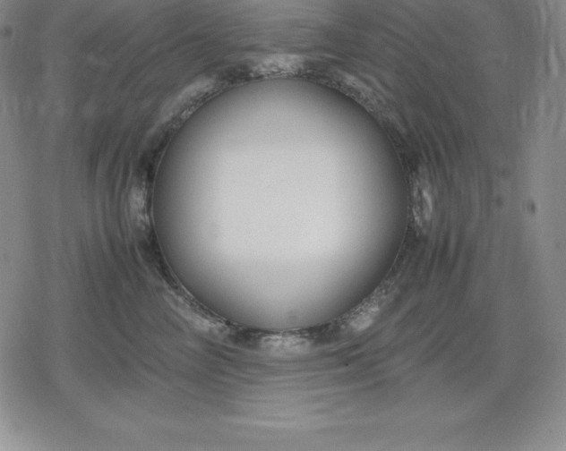 X0000080170714200612221251