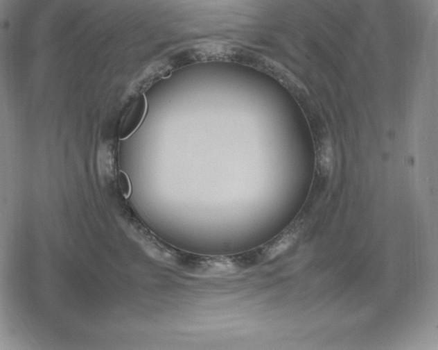 X0000080170715200612221251