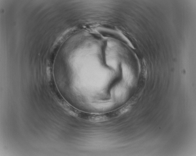 X0000080170716200612221251