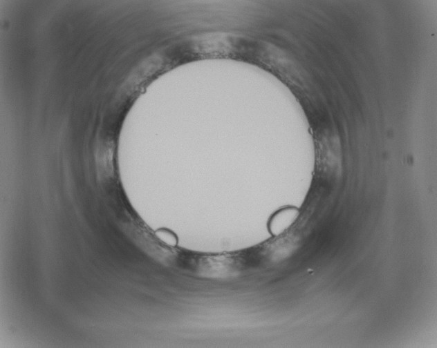 X0000080170717200612221251