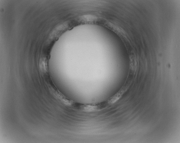 X0000080170718200612221251