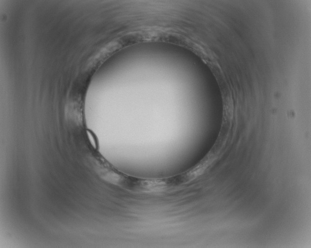 X0000080170719200612221251