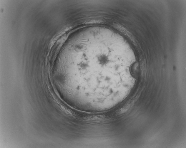 X0000080170721200612221250