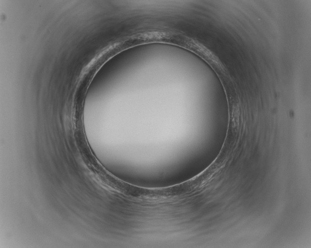 X0000080170722200612221250