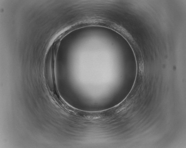 X0000080170724200612221250