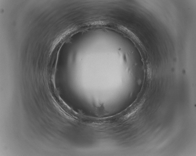 X0000080170725200612221250