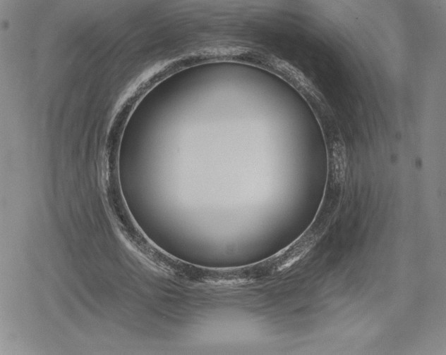 X0000080170726200612221250