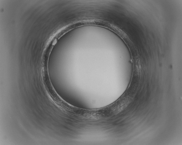 X0000080170728200612221250