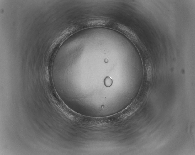 X0000080170729200612221250