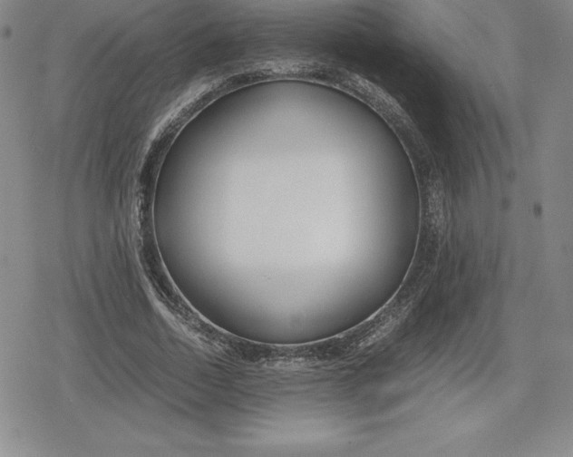 X0000080170730200612221250