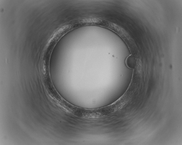 X0000080170731200612221250