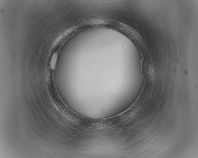 X0000080170732200612221250