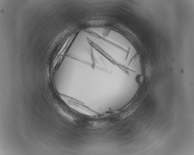 X0000080170733200612221250