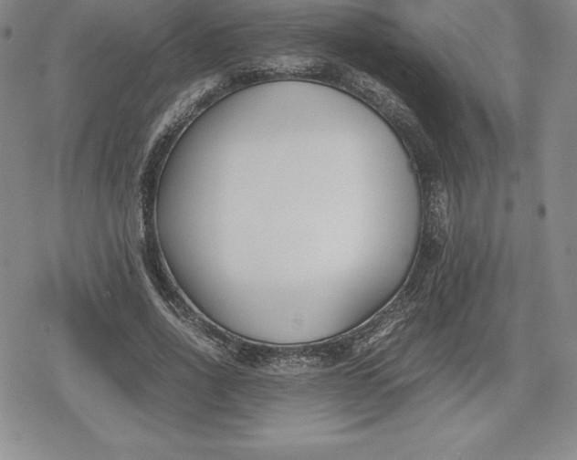 X0000080170734200612221250