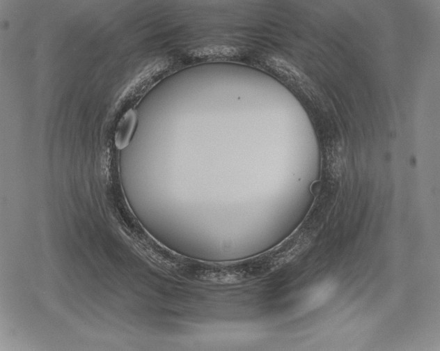 X0000080170735200612221250