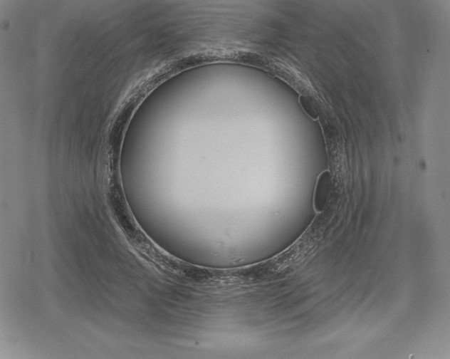 X0000080170736200612221250