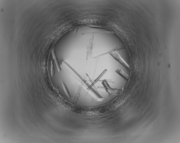 X0000080170737200612221250