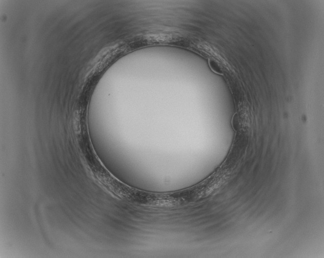 X0000080170738200612221250