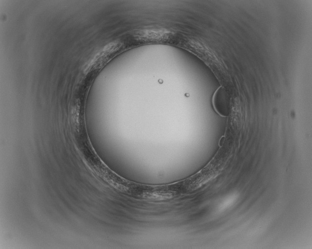 X0000080170739200612221250