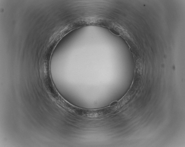 X0000080170740200612221250