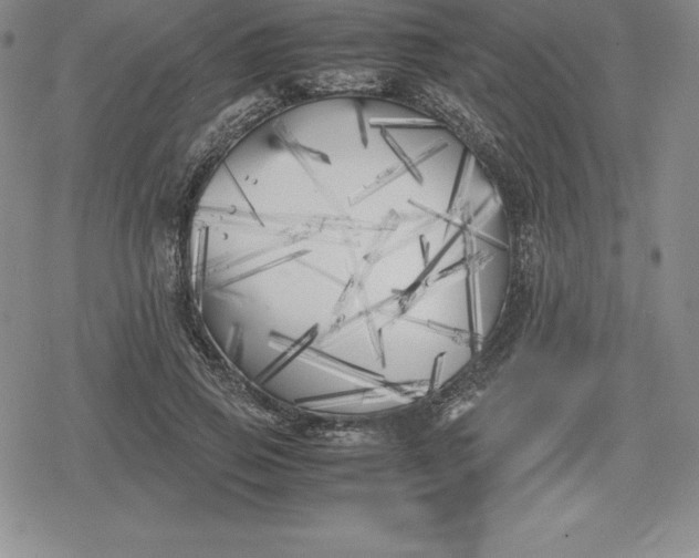 X0000080170741200612221250