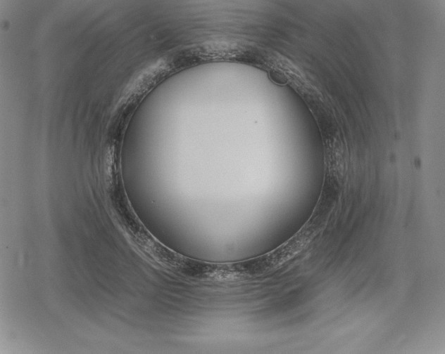 X0000080170742200612221250