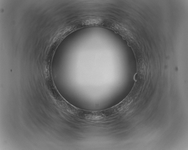 X0000080170743200612221250