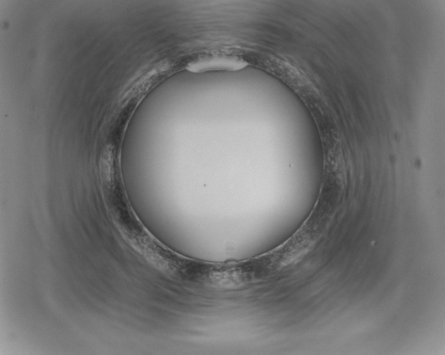 X0000080170744200612221250