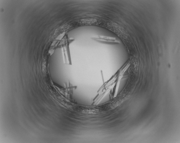 X0000080170745200612221250