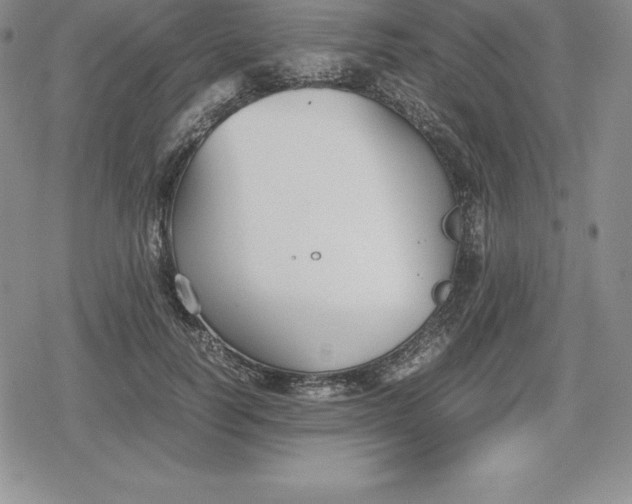 X0000080170746200612221250