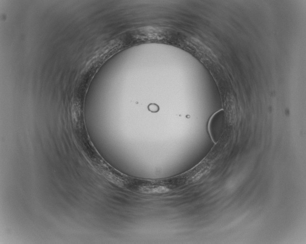 X0000080170747200612221250