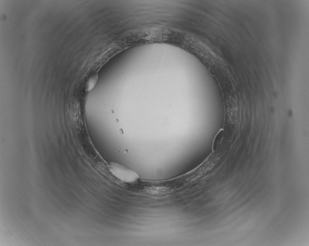 X0000080170748200612221250