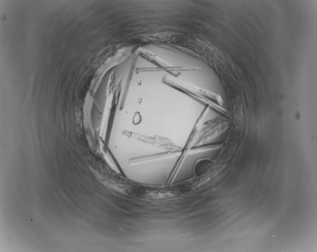 X0000080170749200612221250