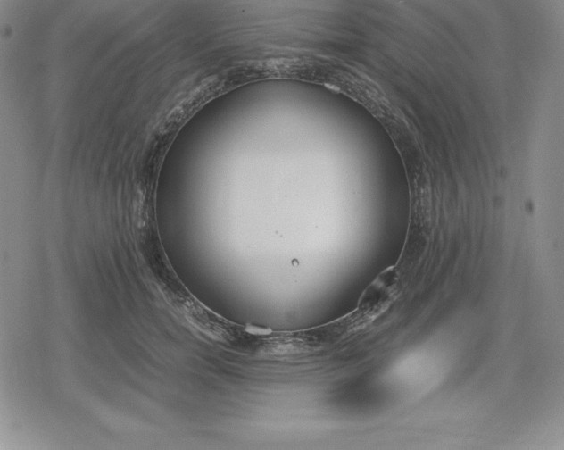 X0000080170750200612221250