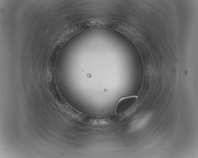 X0000080170751200612221250