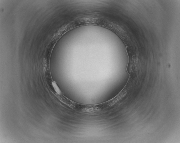 X0000080170752200612221250