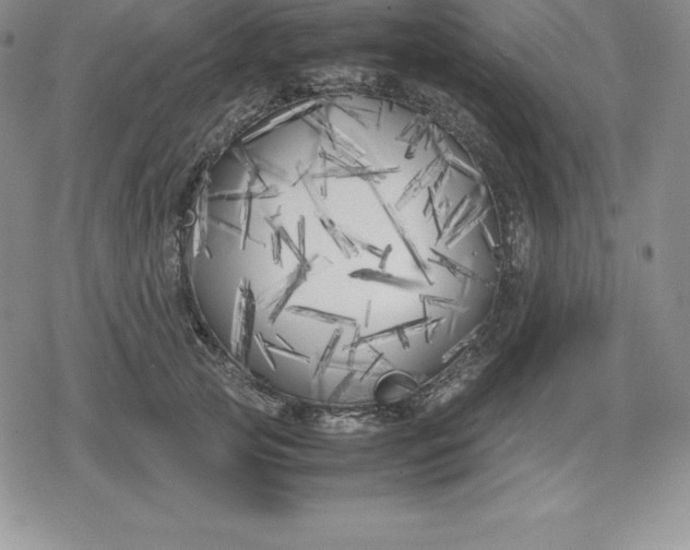 X0000080170753200612221250