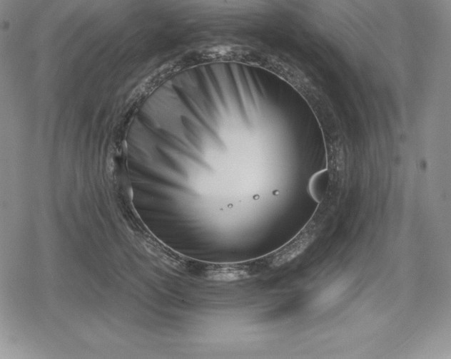 X0000080170754200612221250