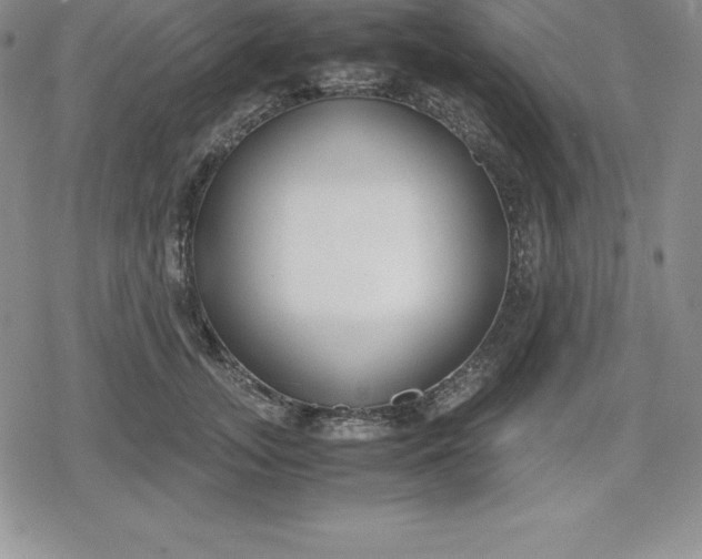 X0000080170755200612221250